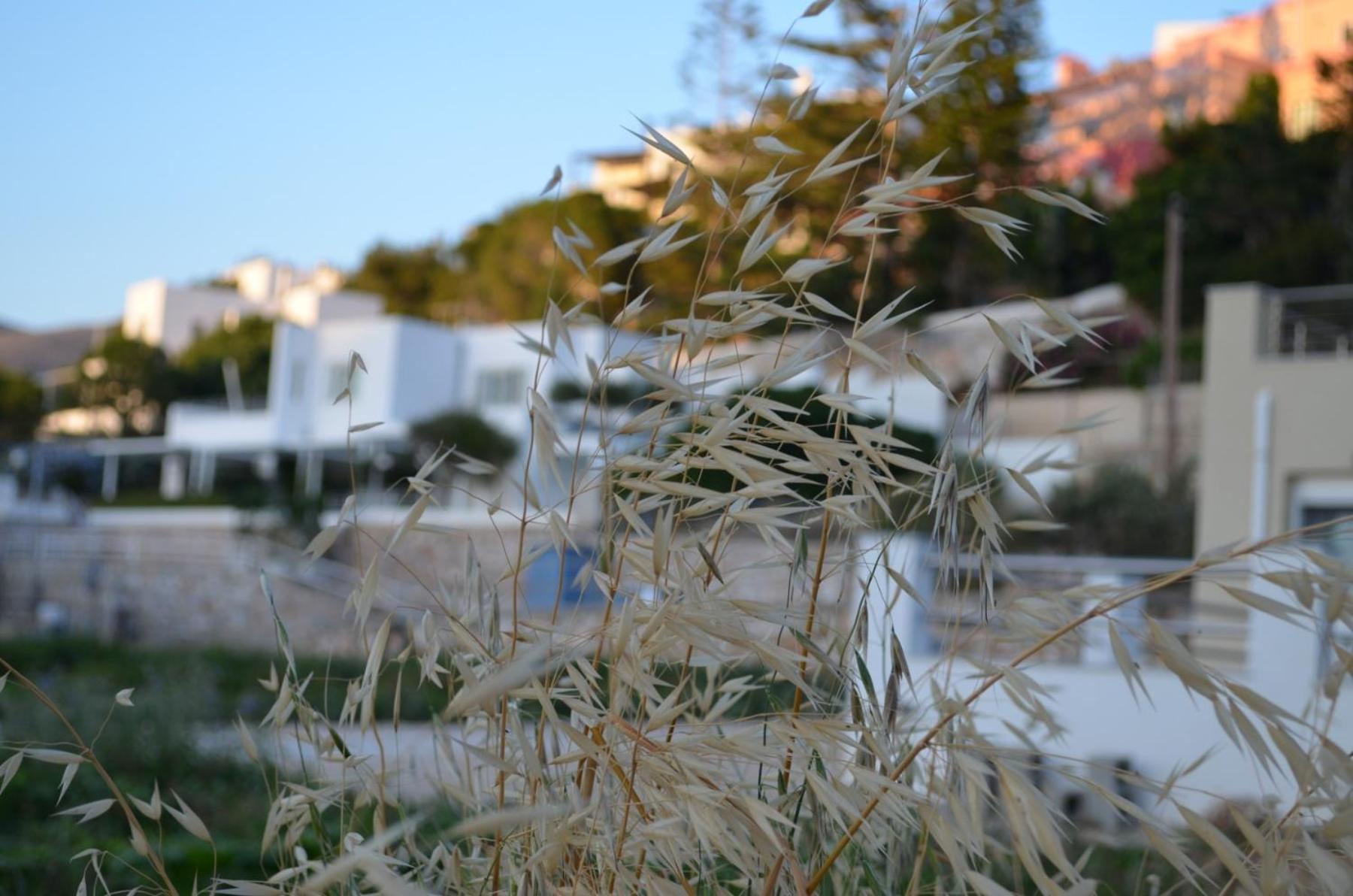 White Lotus Seaside Studio Kini Exterior foto